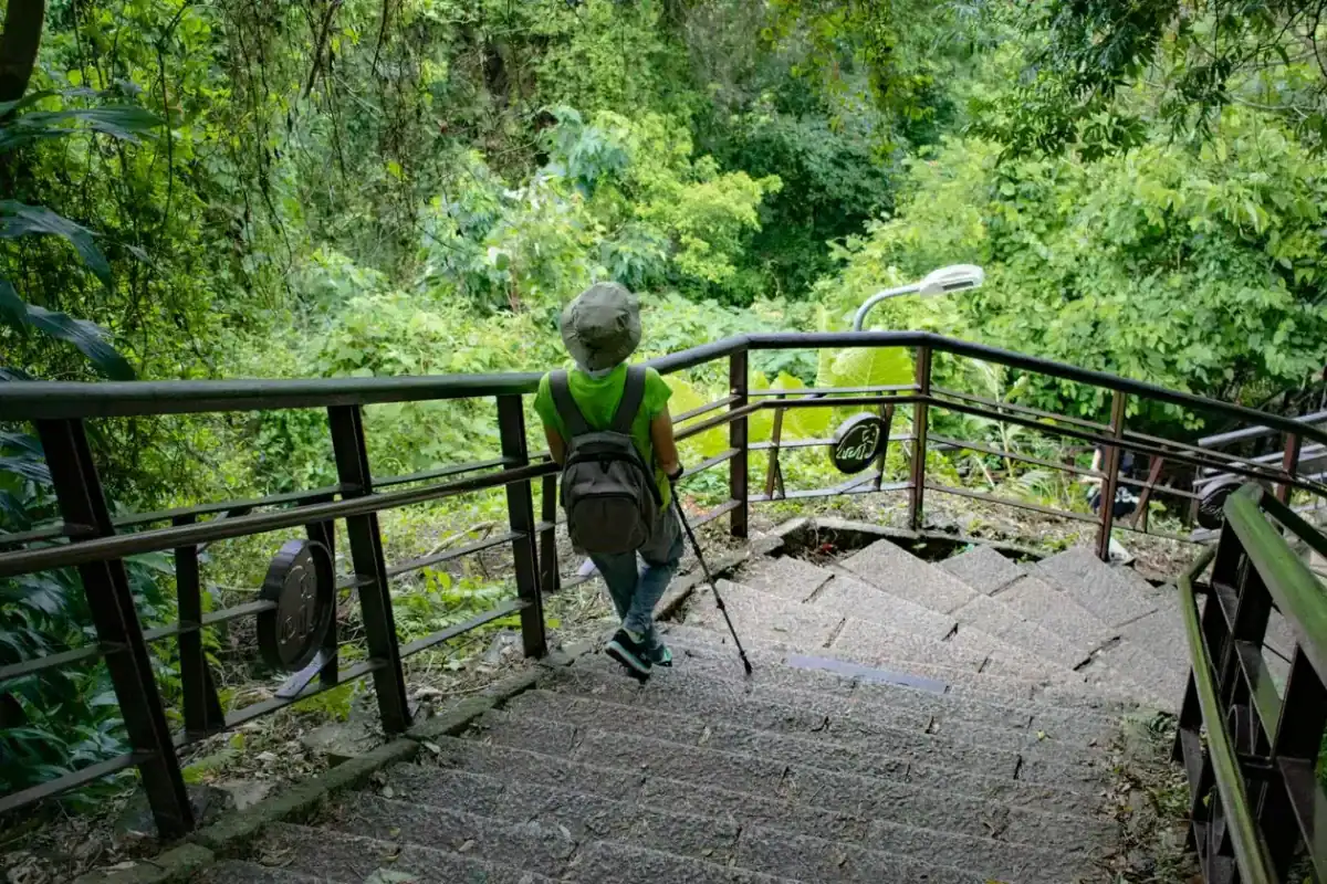 台中消暑景點山林路線：綠蔭圍繞的森林步道階梯