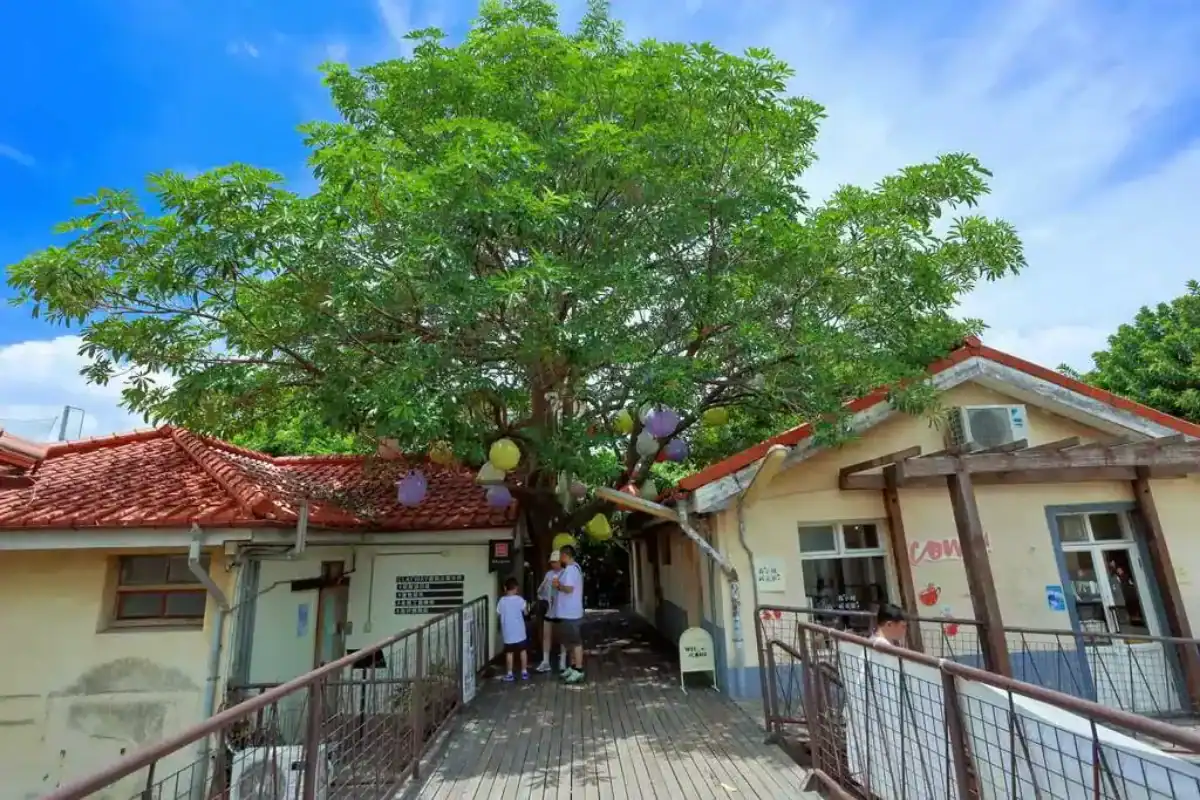 台中景點推薦審計新村，老宿舍改造文創聚落與特色商店街景