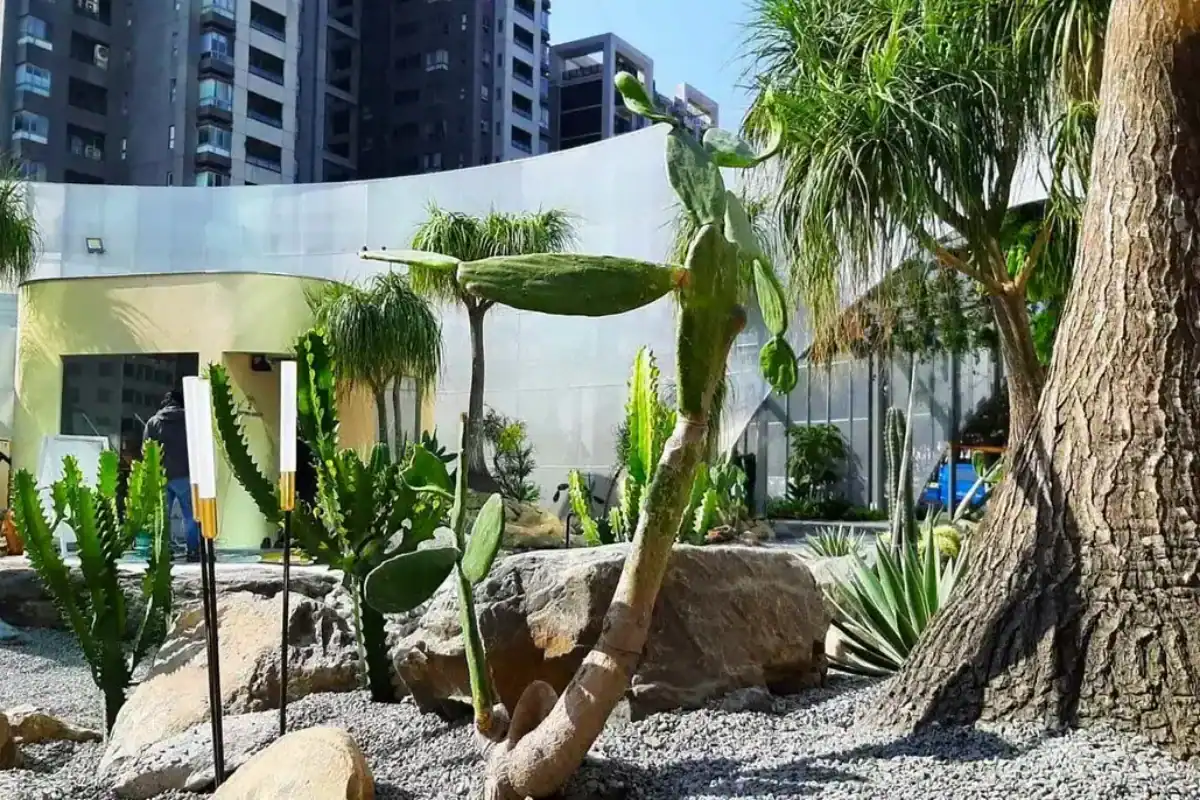 台中景點推薦PARK2草悟廣場，沙漠植栽與清水模建築打造特色商場空間