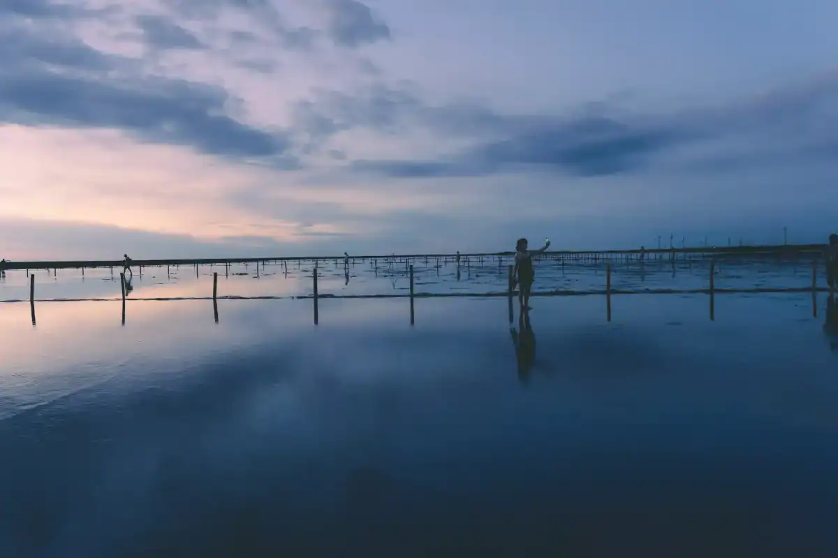 台中親子景點海線風景：黃昏時分的濕地淺灘