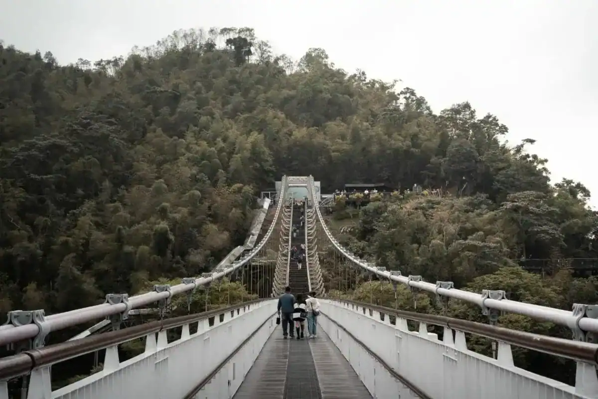 台中消暑景點山中涼意：翠綠山林間的吊橋