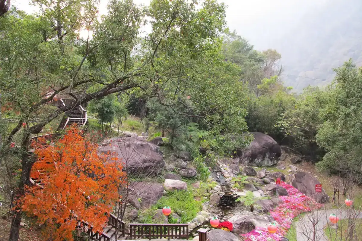 綠意山林與季節花卉環繞，呈現自然系谷關住宿環境。