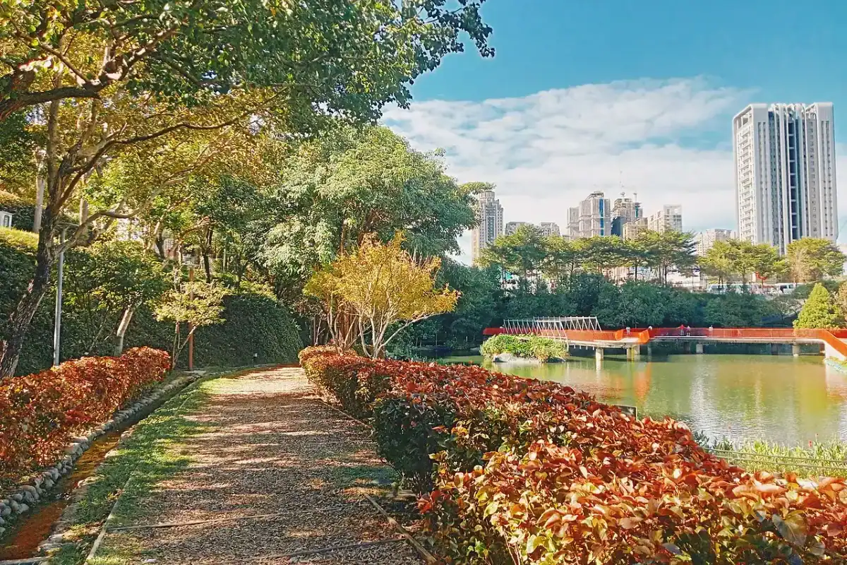 台中三天兩夜傍晚造訪的秋紅谷生態公園湖景綠地