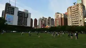 雙十連假2026台中三天兩夜：臺中市民廣場空拍與周邊街廓
