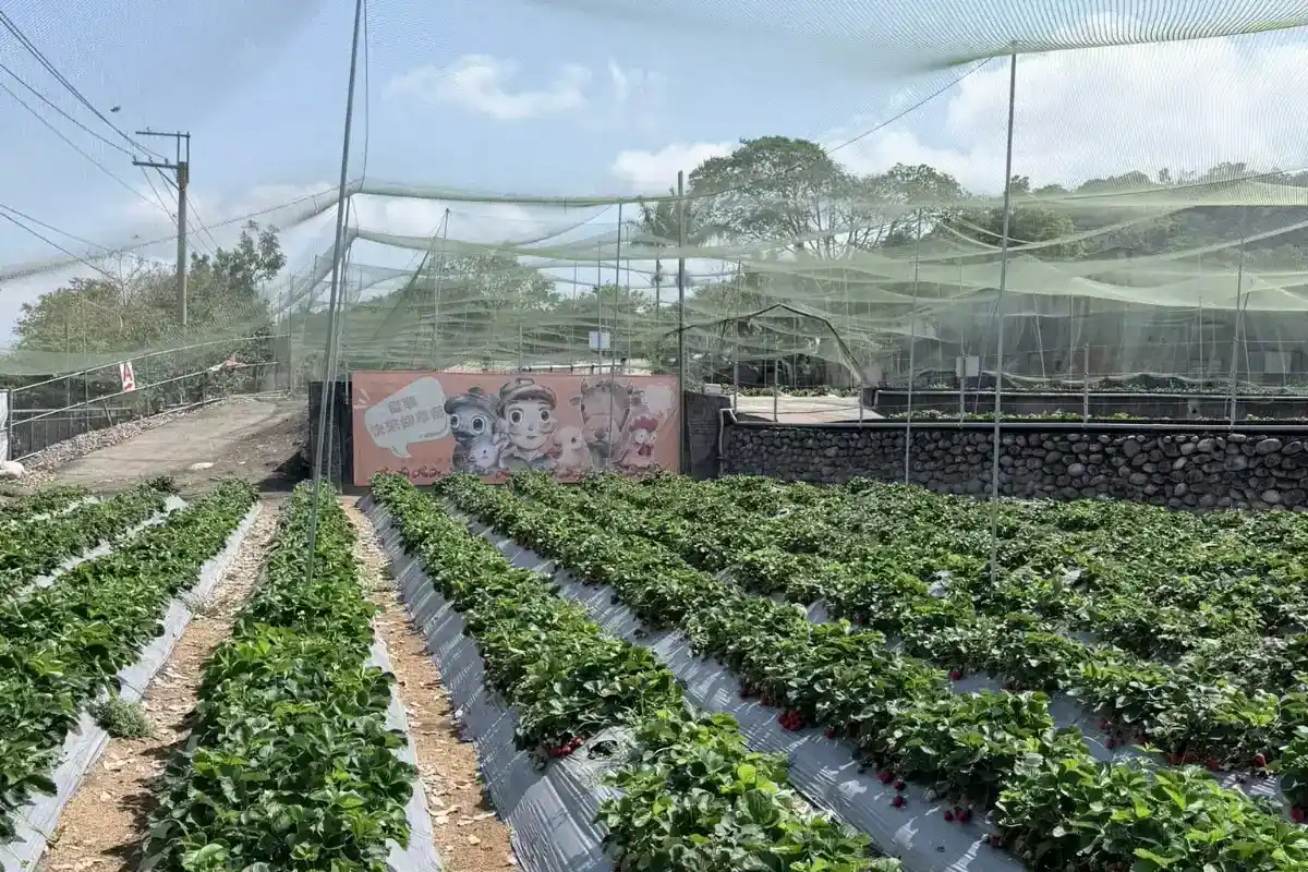 台中親子農場歐格叔叔的家園區實景