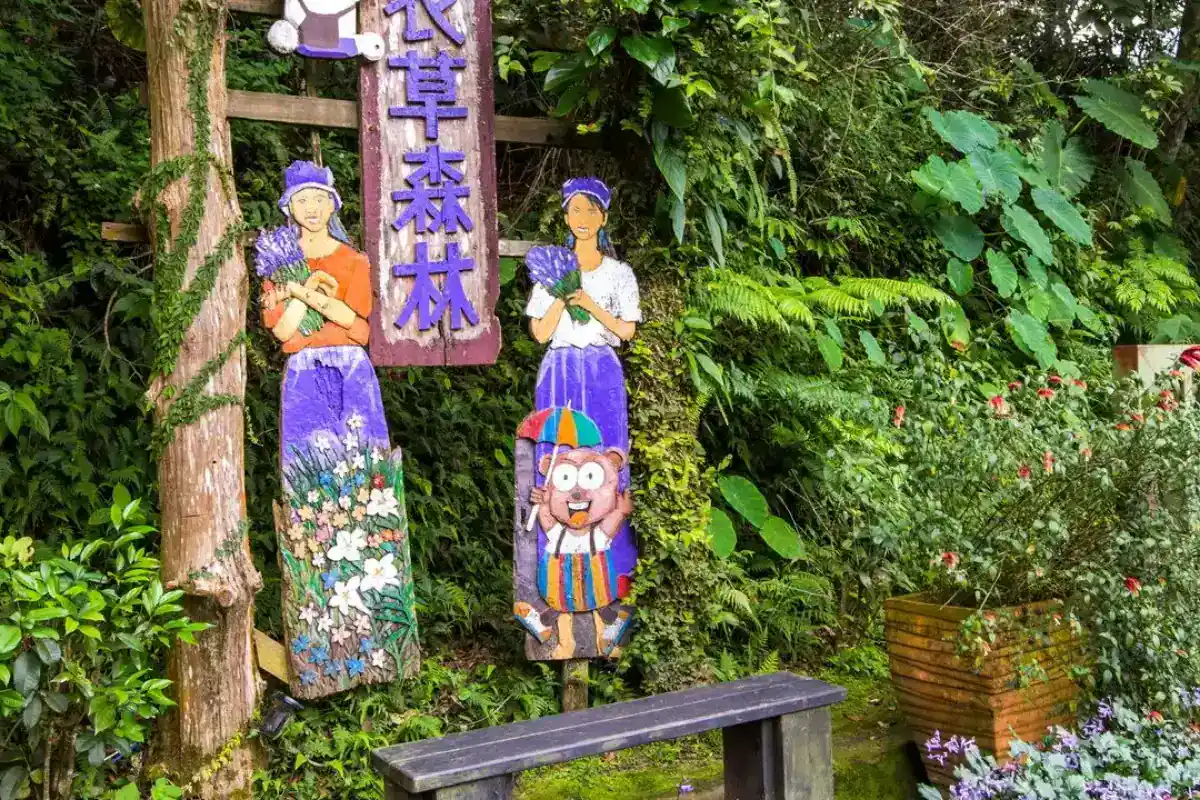 台中親子農場沐心泉休閒農場花海景觀