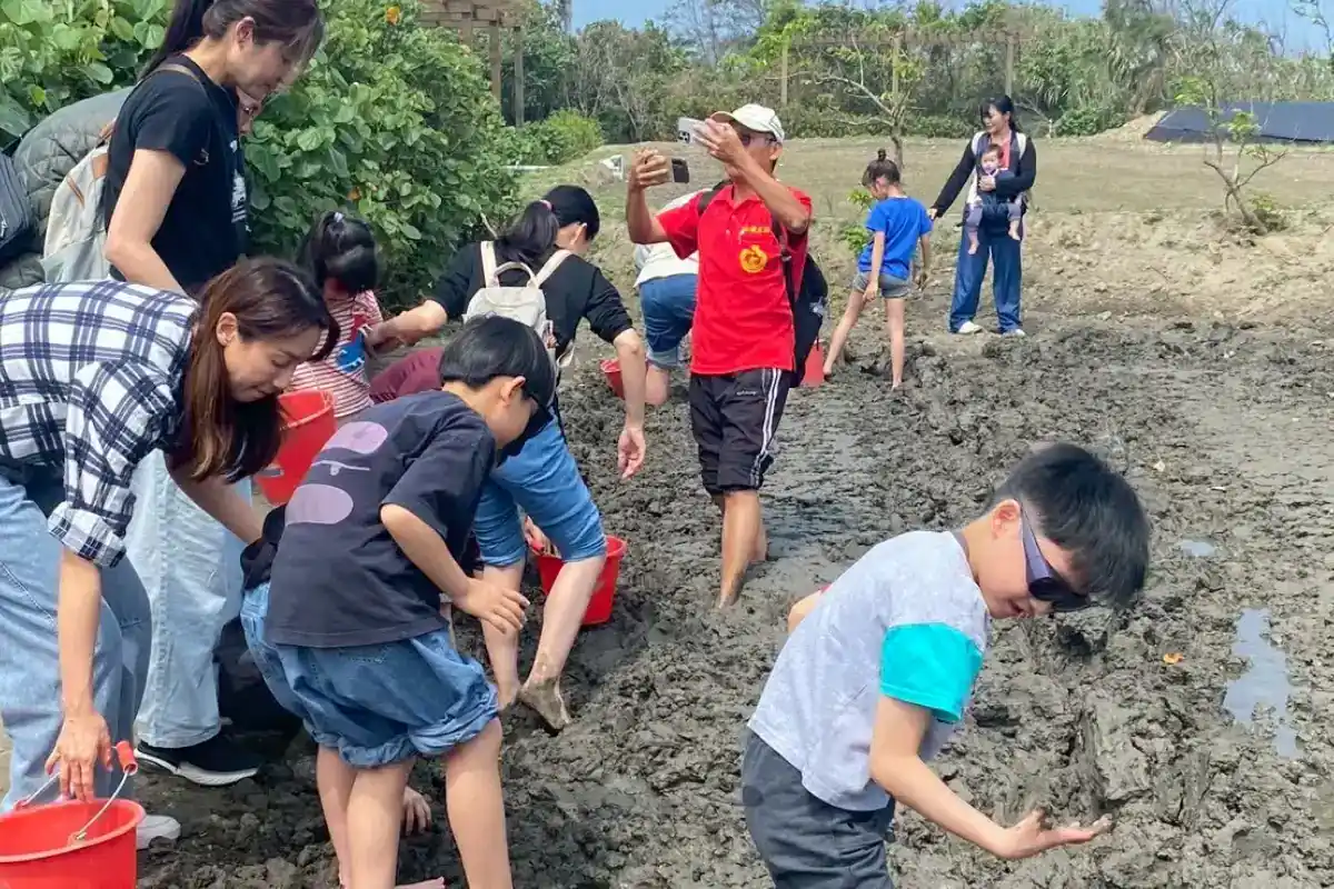 台中親子農場葵海休閒農場海邊抓螃蟹體驗