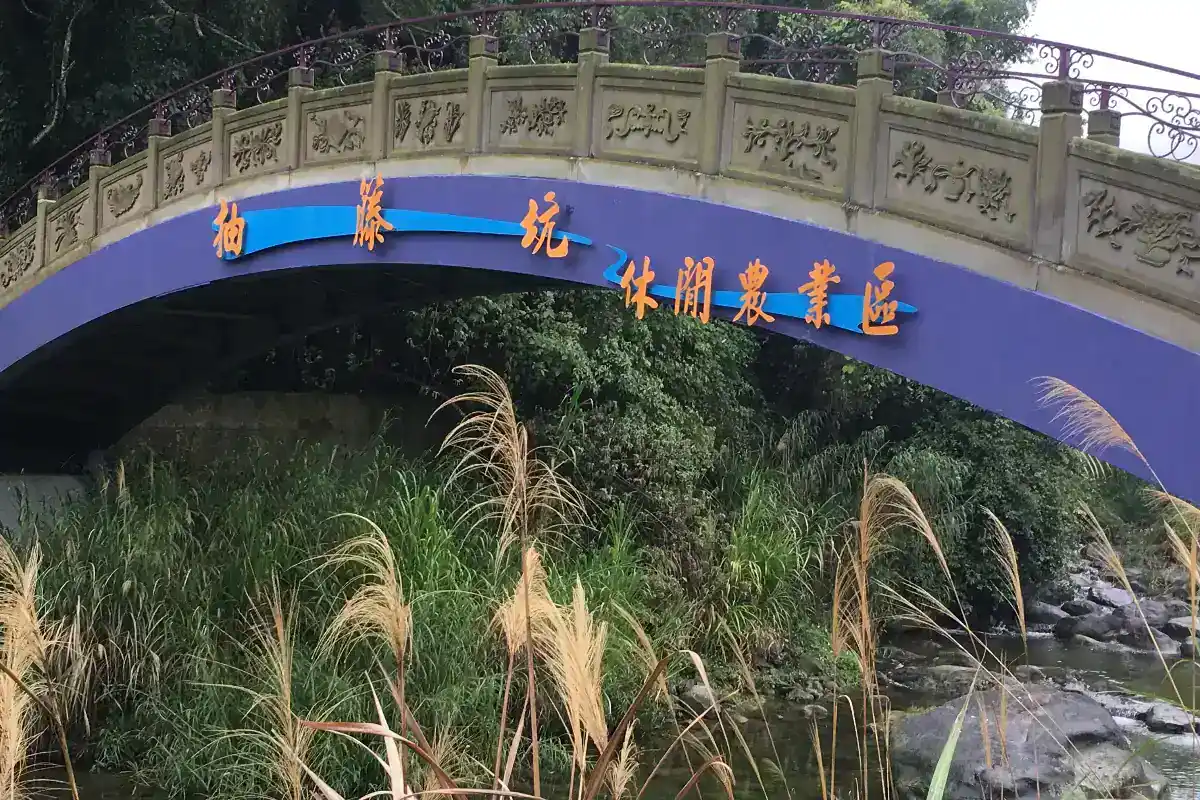台中親子農場怎麼挑門票與飼料