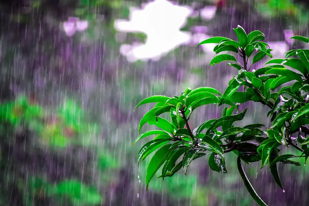 雨滴打在窗玻璃上的畫面,決定台中室內景點行程前先確認天氣的情境