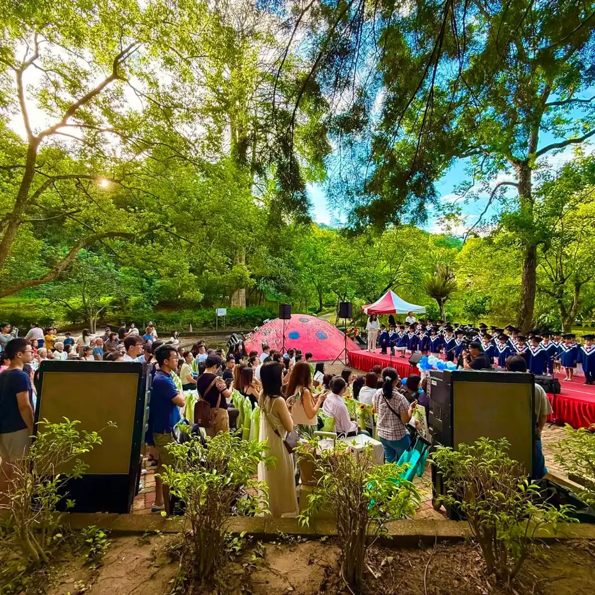 台中親子農場推薦小孩餵食動物實景