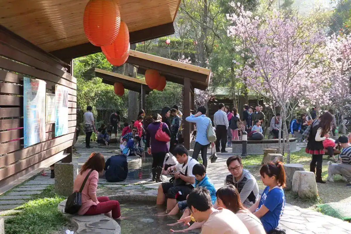 台中跨年可以去哪－和平區谷關溫泉區戶外泡腳池與櫻花