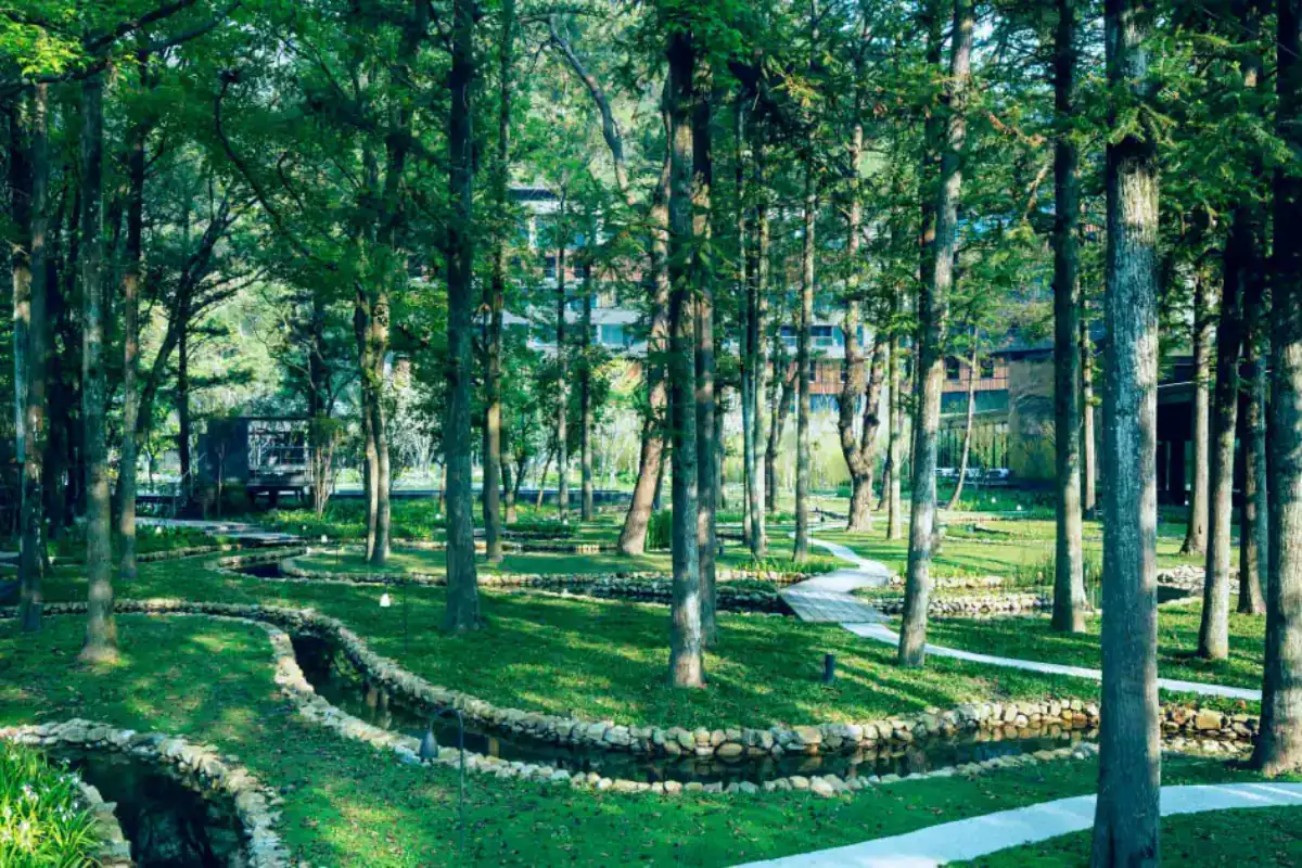 台中跨年可以去哪－虹夕諾雅谷關的水之庭園與林間水景