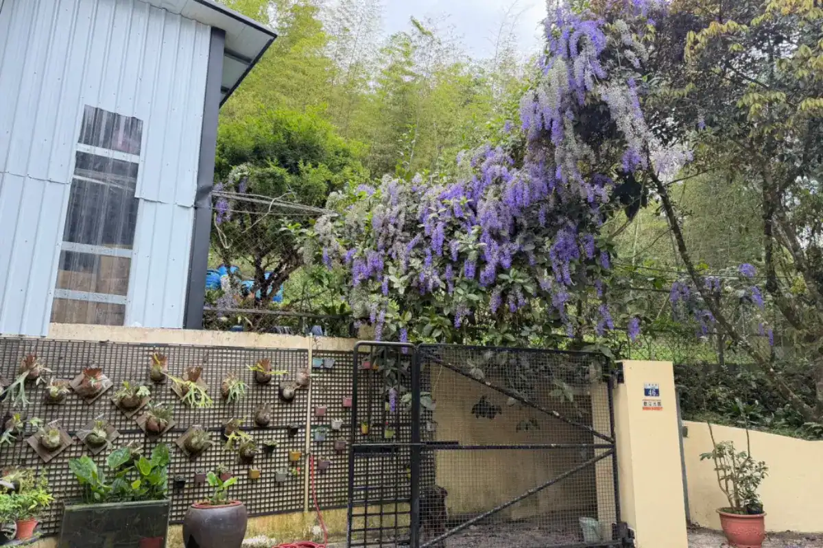 台中包棟villa推薦六合繹包棟露營區的山景木屋套房