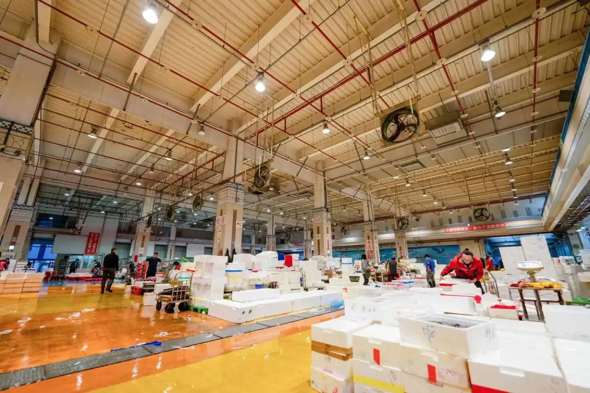 台中魚市場販魚所室內攤位排開整齊的漁獲與冰鋪,台中室內景點裡免門票的南屯海鮮賣場